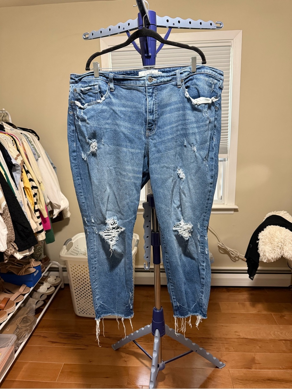 EUC Torrid Size 24R: High-Rise Mom Straight Distressed Jeans - Blue - Picture 5 of 9